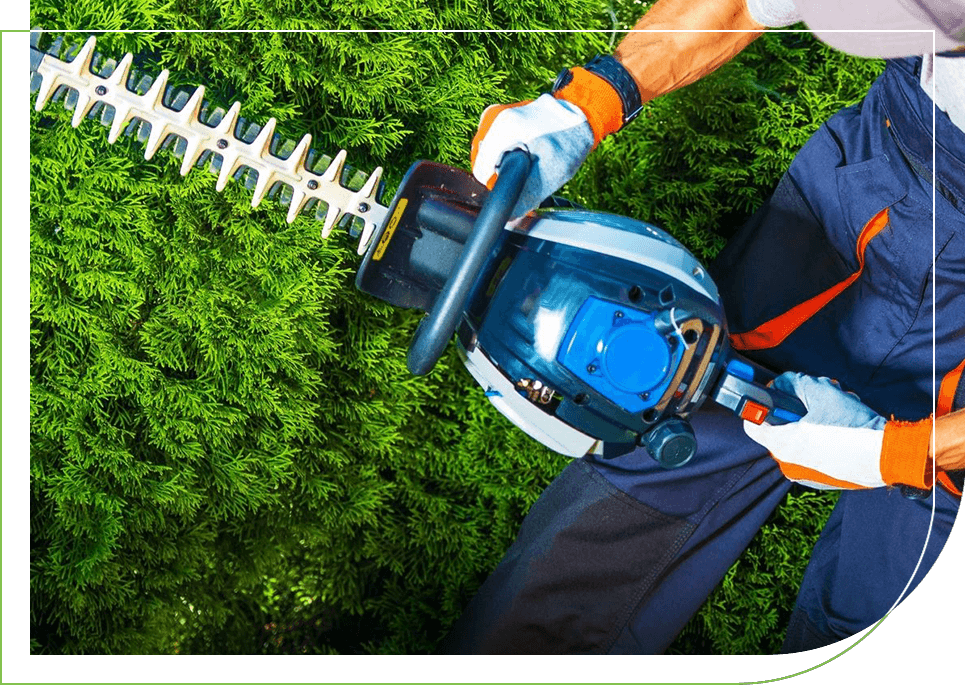 Trimming Time. Gardener with His Gasoline Hedge Trimmer in Action.